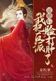 退婚后我把反派脸打肿了小说