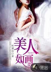 美人如画小说