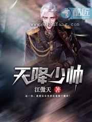 天降少帅小说