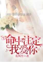 命中注定我爱你小说