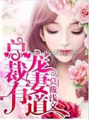 总裁宠妻有道小说