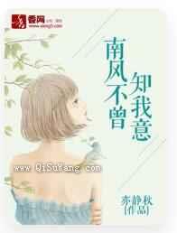 南风不曾知我意小说