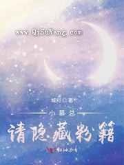 小慕总,请隐藏粉籍小说