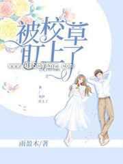 被校草盯上了小说