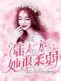 陆太太她很柔弱小说