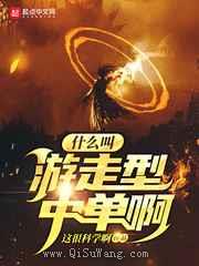 什么叫游走型中单啊小说