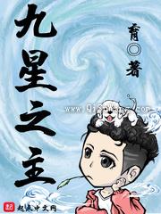 九星之主小说