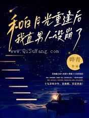 和白月光重逢后，我直男人设崩了小说