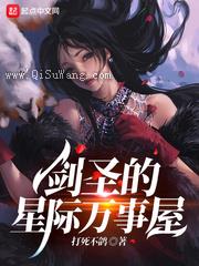 剑圣的星际万事屋小说