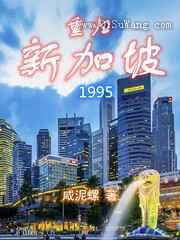 重归新加坡1995小说
