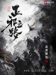 唯我正邪之路小说