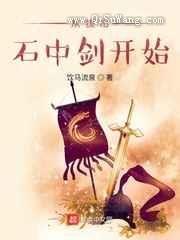 从拔出石中剑开始小说