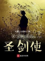 龙王传说之圣剑使小说