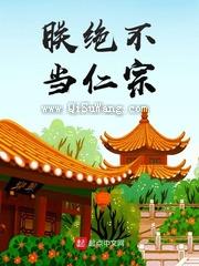 朕绝不当仁宗小说