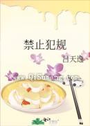禁止犯规小说