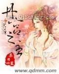 丹宫之主小说