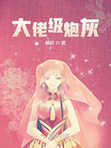 大佬级炮灰小说