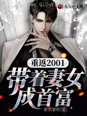 重返2001：带着妻女成首富小说