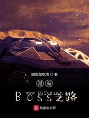 港岛BOSS之路小说