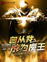 自从我成为魔王小说