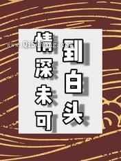 情深未可到白头小说