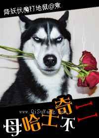 母哈士奇不二小说