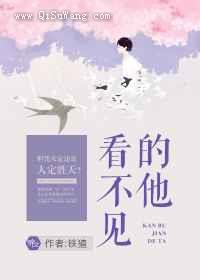 看不见的他小说