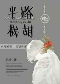 半路截胡小说