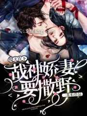 傻夫在下:战神娇妻要撒野小说