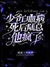 少爷白血病死后,陆总他疯了小说