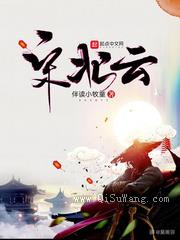 宋北云小说