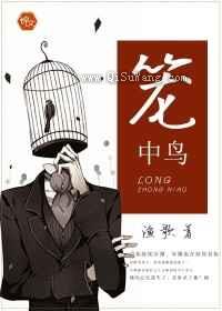 笼中鸟小说