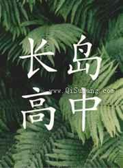 长岛高中小说