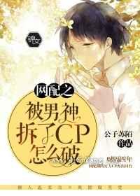 网配之被男神拆了cp怎么破小说