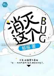 消灭这个bug小说