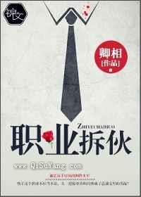 职业拆伙小说