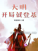 大明开局就登基小说