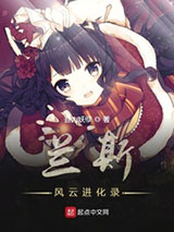 兰斯风云进化录小说