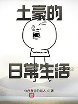 土豪的日常生活小说