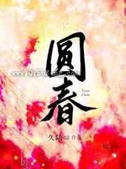 圆春小说