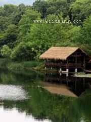 带着男妻奔小康小说