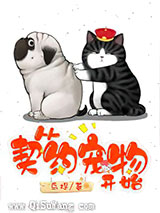 从契约宠物开始小说