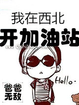 我在西北开加油站小说