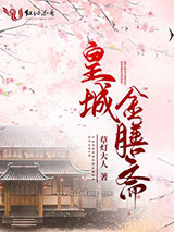 皇城金膳斋小说