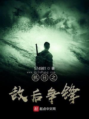 抗日之敌后争锋小说