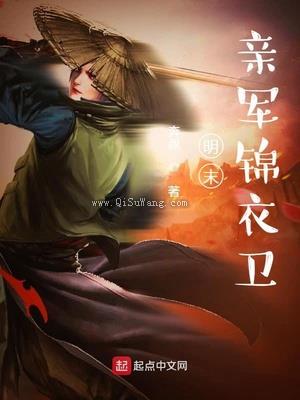 明末亲军锦衣卫小说