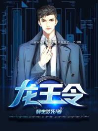 神龙令小说