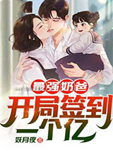 最强奶爸：开局签到一个亿！小说