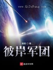 彼岸军团小说