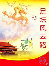足坛风云路小说